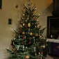 Zautendorfer Christbaum